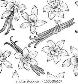 Vanilla flowers and pods. Vector seamless pattern. Vintage style