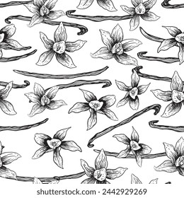 Vanilla flowers and pods. Vector seamless pattern. Vintage style. Hand drawn sketch engraving
