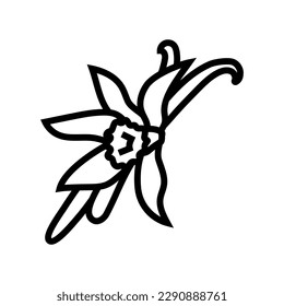 vanilla food herb line icon vector. vanilla food herb sign. isolated contour symbol black illustration