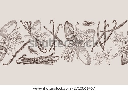 Vanilla hand drawn seamless border