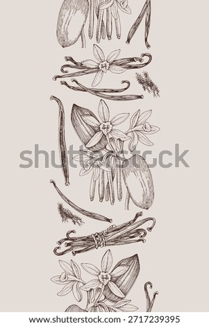 Vanilla hand drawn seamless border