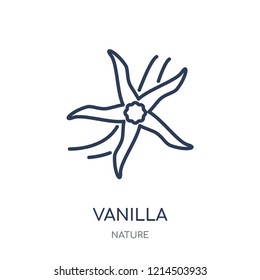 Vanilla icon. Vanilla linear symbol design from Nature collection. Simple outline element vector illustration on white background.
