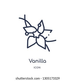 vanilla icon from nature outline collection. Thin line vanilla icon isolated on white background.