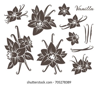 Vanilla icons collection. Flowers with dried pods. Monochrome version