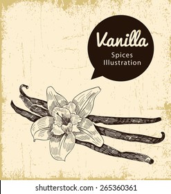 vanilla illustration on background. vector