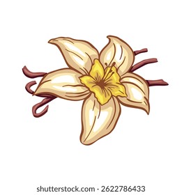 vanilla image drawing color vector hand made