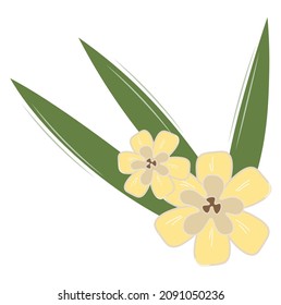 Inflorescencias de vainilla. Ilustración de flores de vainilla de estilo plano. Plantilla de flor de vainilla para el logotipo de los alimentos, emblema, etiqueta, receta, menú, impresión, etiqueta, EPA, perfume, cosméticos Vector ilustración aislada