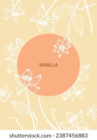 Vanilla label template background for text. Flower and sticks of vanilla plant vector illustration with pods, fragrant spices. For label,spice packaging, logo, card, banner.Hand drawn design element