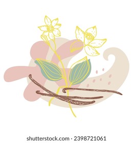 Vanilla label template background for text. Flower and sticks of vanilla plant vector illustration with pods, fragrant spices. For label,spice packaging, paper,card, banner. Hand drawn abstract design