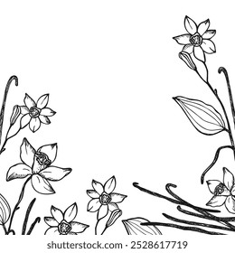 Vanilla label template background for text. Flower and sticks of vanilla plant vector engraved illustration with pods, fragrant spices. Design for label, spice packaging, card, banner. Hand drawn 