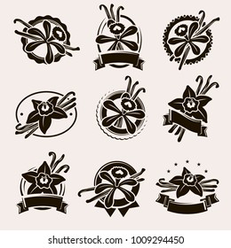 Vanilla labels and elements set. Vector