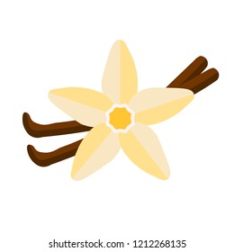 vanilla line vector illustration, vanilla flower logo, spice vanilla on white background, culinary herbs, label vector illustration