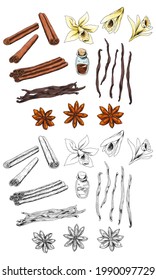 Vanilla. Natural cinnamon stick. Anise. Plant pods. Blooming orchid flower. Fragrant oil in a bottle. Herb. Condiments for baking and cooking. Isolated clipart set. Hand-drawn ink sketch.