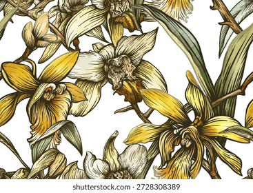 Vanilla orquídea padrão botânico sem emenda. Flores de baunilha desenhadas à mão folhas vagens em estilo decorativo vintage. Design de tempero culinário exótico para o papel de parede têxtil assar temas de cozinha de comida doce.