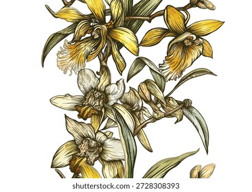 Vanilla orquídea padrão botânico sem emenda. Flores de baunilha desenhadas à mão folhas vagens em estilo decorativo vintage. Design de tempero culinário exótico para o papel de parede têxtil assar temas de cozinha de comida doce.