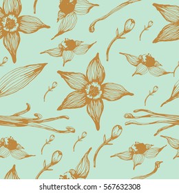Vanilla pattern. Vector floral seamless pattern. Graphic vanilla flowers.Vanilla beautiful flowers and beans.