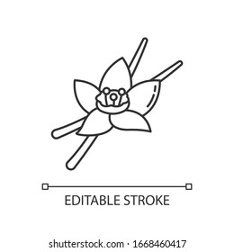 Vanilla Pixel Perfect Linear Icon. Aromatic Flower And Pods Of Vanilla Orchid. Baking Ingredient. Thin Line Customizable Illustration. Contour Symbol. Vector Isolated Outline Drawing. Editable Stroke