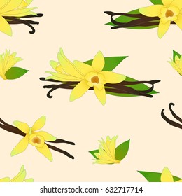 Vanilla Planifolia Flower on Ivory Beige Background. Vector Illustration.