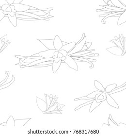 Vanilla Planifolia Flower on White Background. Vector Illustration.