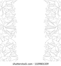 Vanilla Planifolia Flower and Vanilla Pods or Beans Outline Border. Ice Cream Flavor. Vector illustration. isolated on White Background.