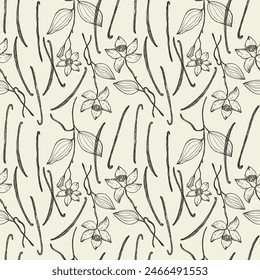 Vanilla plant with sticks flower repeating background. Hand drawn seamless pattern with vanilla branch, leaf. Design for template, label, card, textile, wrapping, banner. Vector engraved illustration