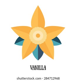 Vanilla pod and flower isolated on white background vector illustration