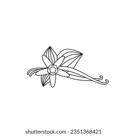 Vanilla Pod Icon, Orchid Bean Sticks, Dry Vanillin Pods, Natural Aroma Dessert Ingredient, Vanilla Planifolia Stick, Vector Illustration