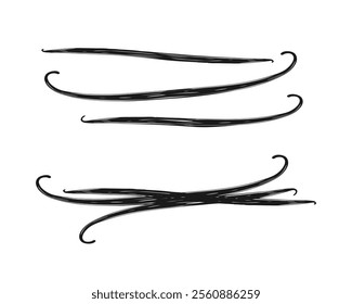 Vanilla pod sticks. Set of vanilla sticks for design. Sketch stylized drawing isolated on white background. Vector illustration