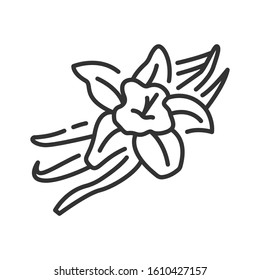 Vanilla pods and flower with caption black line icon. Spices, seasoning. Cooking ingredient.  
