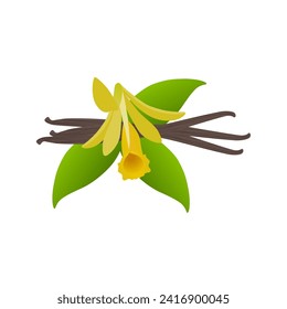Vanilla pods with flower and leaves on a white background.