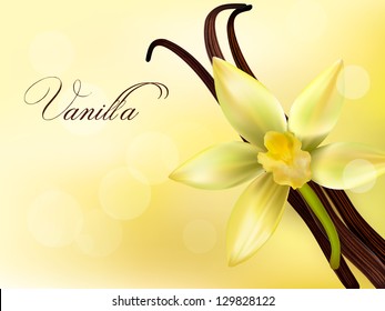 Vanilla Pods And Flower. Vector Illustration.