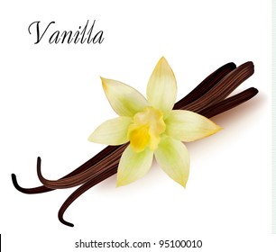 Vanilla Pods And Flower. Vector Illustration.