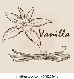 Vanilla pods and flowers