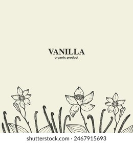 Fondo de vainilla vainas flores con texto. Ilustración vectorial dibujada a mano con la rama grabada de la orquídea de vainilla para el Anuncio, etiqueta, póster, envoltura, papel, impresión, tarjeta. Plantilla de diseño floral botánico