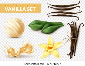 Vanilla realistic set with ice cream scoop shake splash flower dried beans leaves transparent background vector illustration