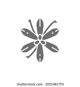 Vanilla, saffron, spice grey icon. Isolated on white background
