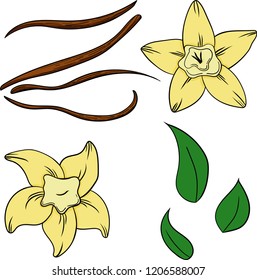 Vanilla set in cartoon style