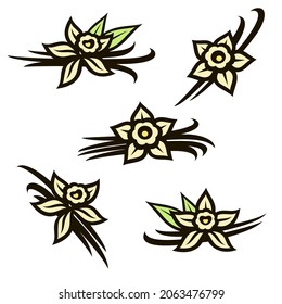 Vanilla set. Collection icon vanilla. Vector