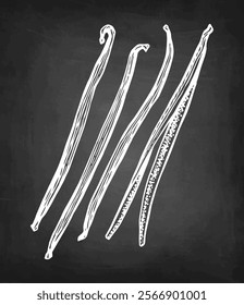 Vanilla spice. Dried beans. Chalk sketch on blackboard background. Hand drawn vector illustration. Retro style.