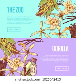 Vanilla spice flyers set with space for text. Exotic spice for food or parfum industry vector illustration. Vanilla flower sticks, leaves and extract oil bottle isolated on colorful background.