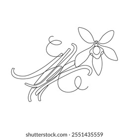 Vanilla spice, orchid flower, drawn in a continuous line in minimalism, Mexican plant, vine pods, in one line, flavor, editable vector contour.