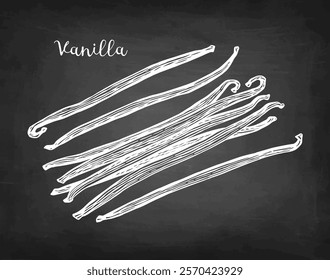 Vanilla spice set. Dried beans. Chalk sketch on blackboard background. Hand drawn vector illustration. Retro style