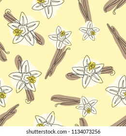 Vanilla stick and flower vector hand drawn seamless pattern. Flavor vanilla blossom illustration