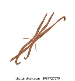 Vanilla sticks, bunch of dried bourbon vanila pods with beans, hand drawn illustration, detailed realistic art, colored vector clipart isolated on white background