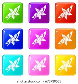 Vanilla sticks with a flower icons 