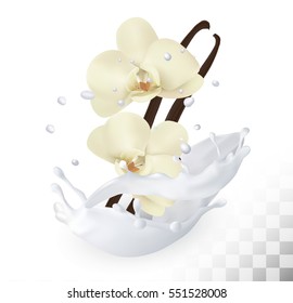 Vanilla sticks with flowers in a milk splash on a transparent background. Vector icon.