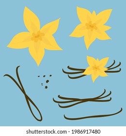 Vanilla sticks and flowers spice abstract hand drawing on blue background for banner, label for a bar, cocktail ,milk shake, ice-cream. Illustration for menu or packaging design