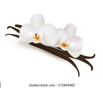 Vanilla klebt mit Blumen. Vektorgrafik