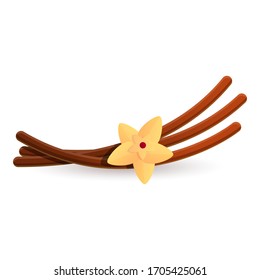 Vanilla sticks icon. Cartoon of vanilla sticks vector icon for web design isolated on white background