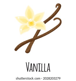 Vanilla superfood spice for template farmer market design, label and packing. Natural energy protein organic food. Vector cartoon isolated illustration.